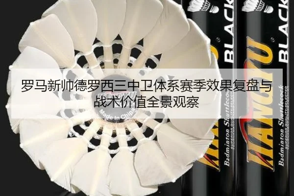 罗马新帅德罗西三中卫体系赛季效果复盘与战术价值全景观察