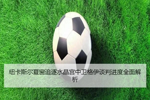 纽卡斯尔夏窗追逐水晶宫中卫格伊谈判进度全面解析